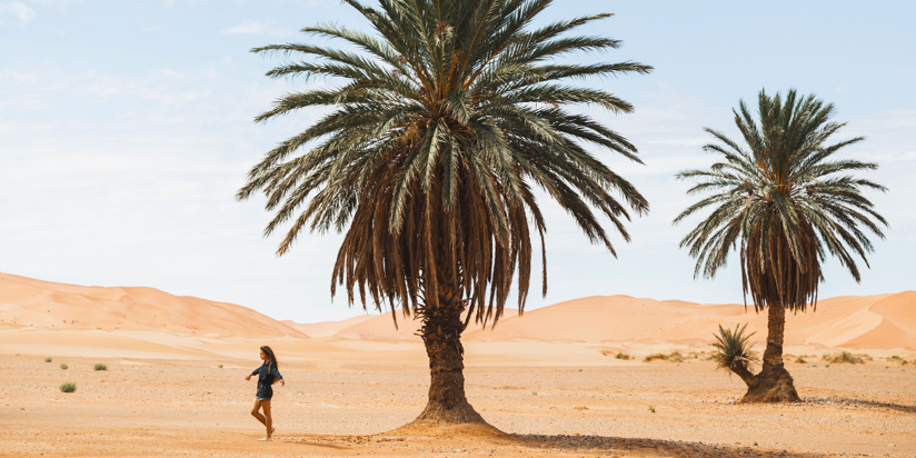 Oman, joyau d'Orient