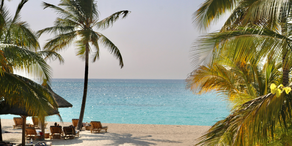 Zanzibar, à l’ombre des cocotiers