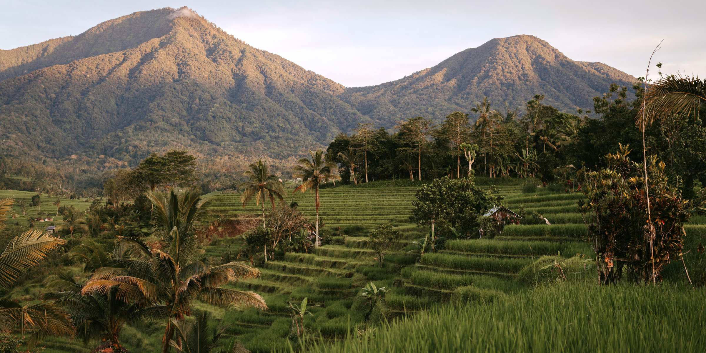 image de l'offre Nouvel an festif et dépaysant à Ubud (vols inclus)
