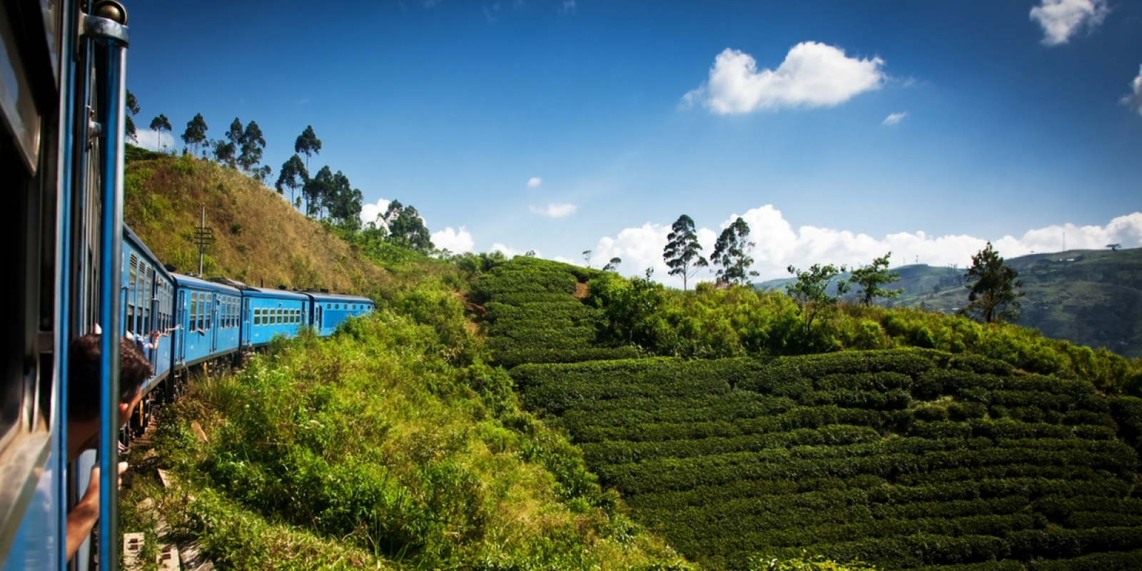 Immersion au Sri Lanka
