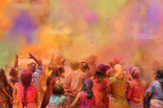 Circuit Inde, découverte du Rajasthan en plein Holi