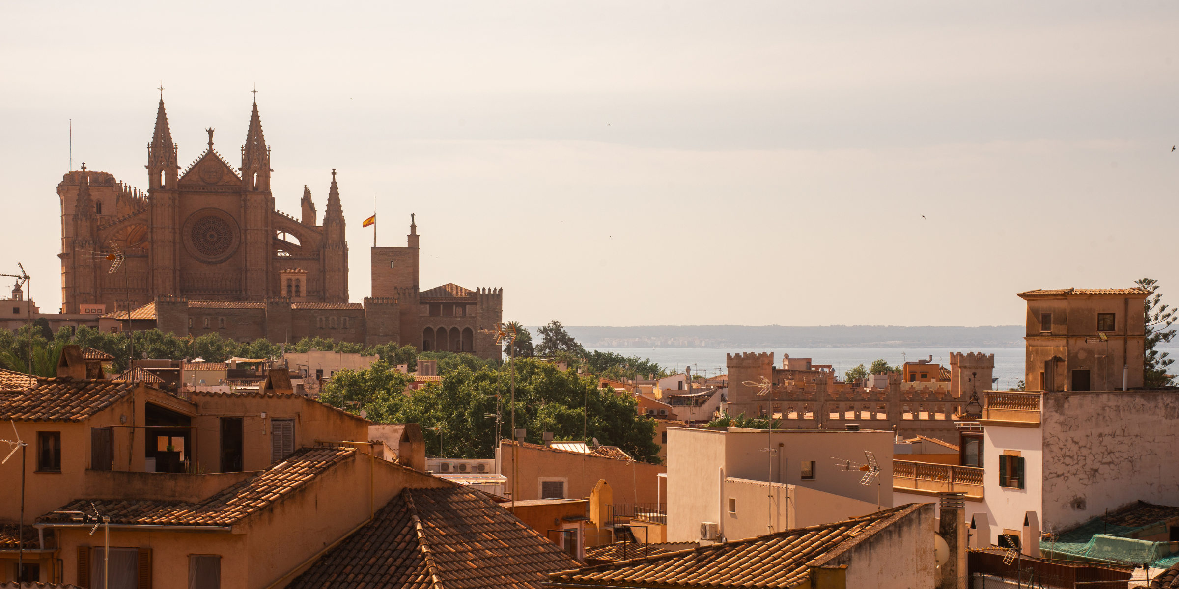 image de l'offre Palma, capitale solaire des Baléares (vols inclus)