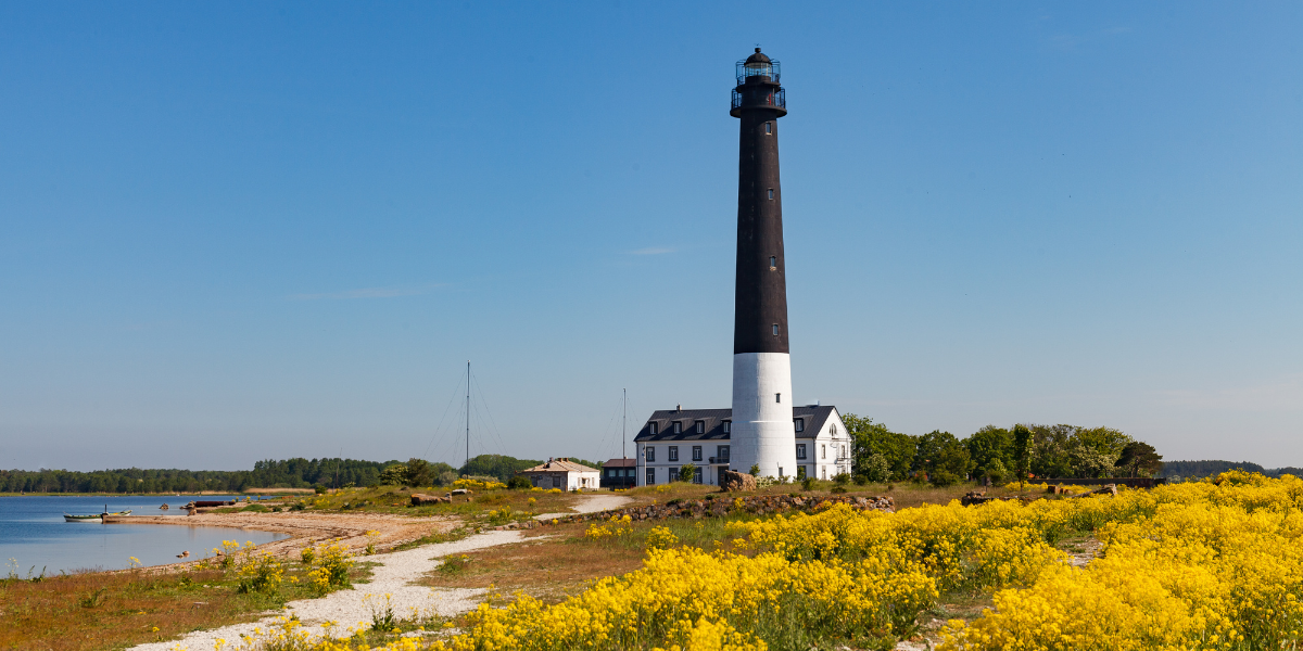 Circuit en Estonie, au cœur des joyaux baltes 