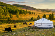 Circuit au coeur de la Mongolie nomade des steppes