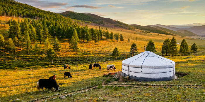 image de l'offre Circuit au coeur de la Mongolie nomade des steppes  (vols inclus)