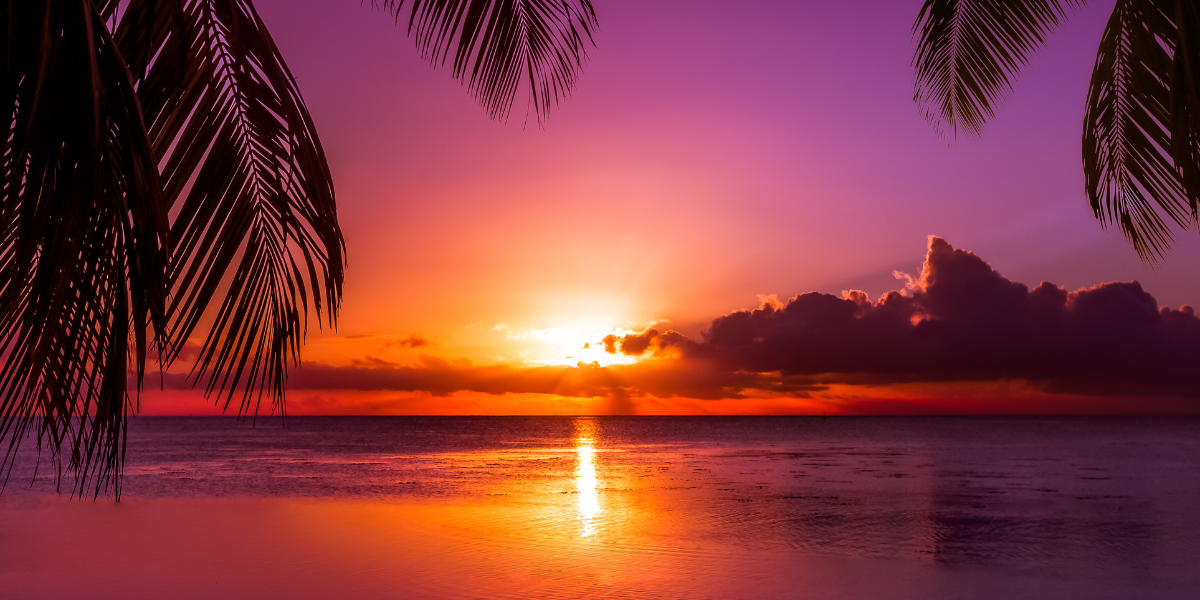 Et admirez les couchers de soleil à tomber ! 