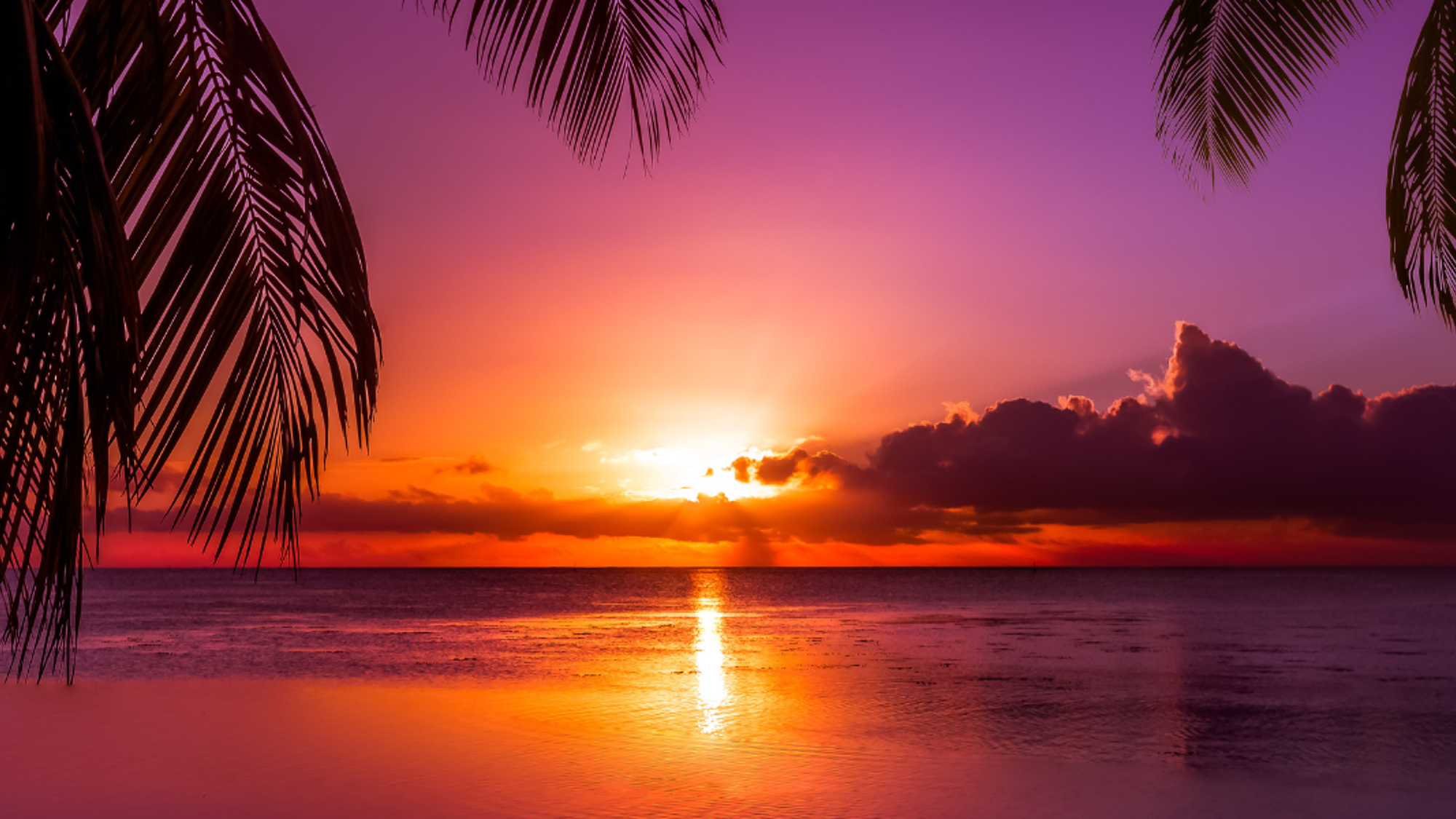 Et admirez les couchers de soleil à tomber !