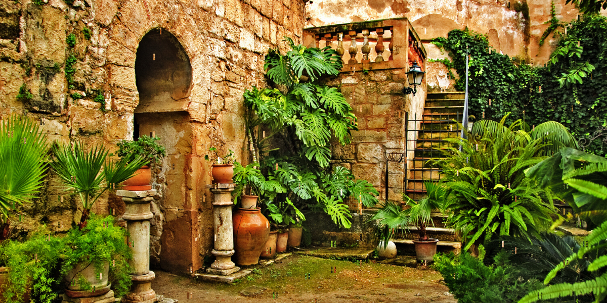 Les Bains arabes de Palma et leur jardin