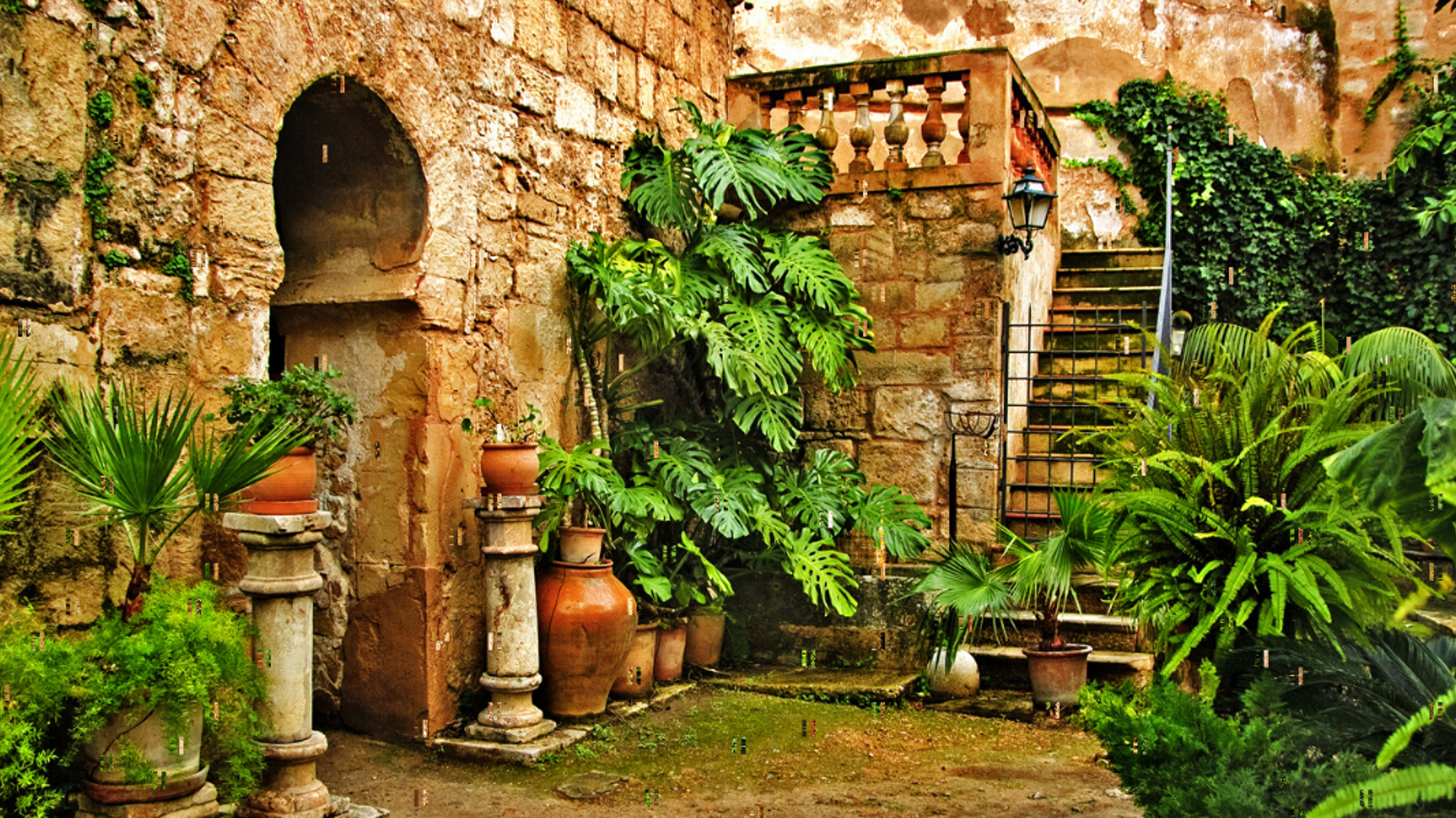 Les Bains arabes de Palma et leur jardin