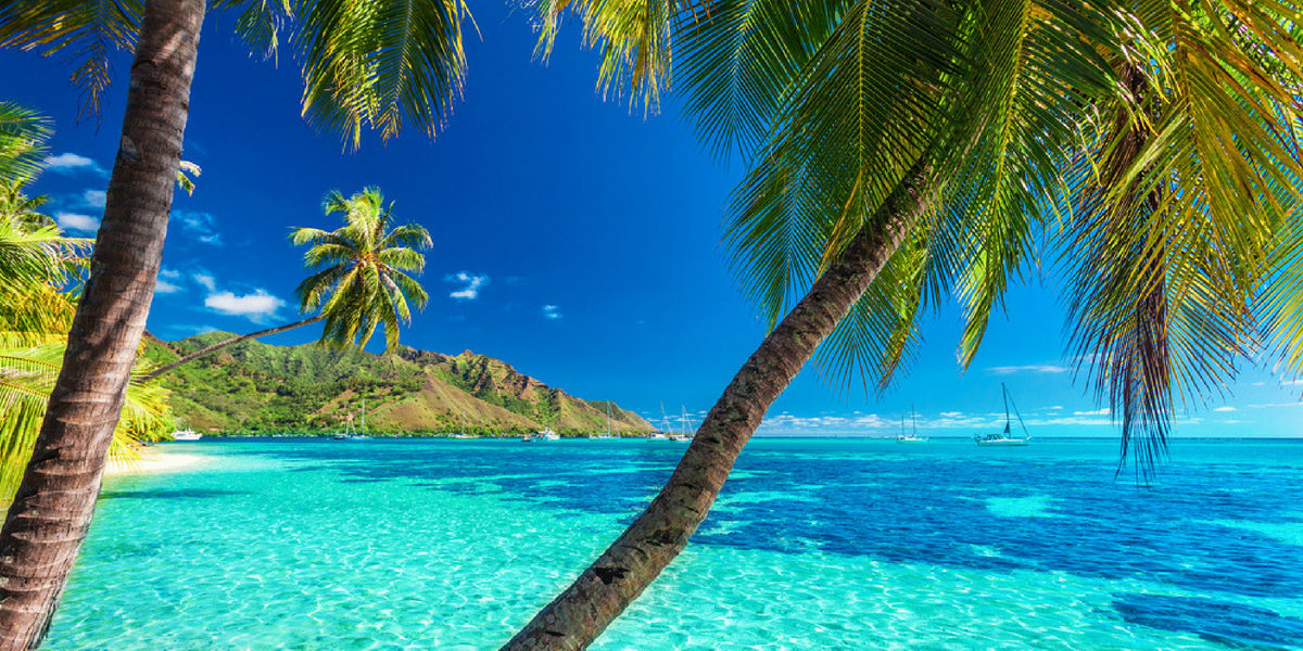 Profitez des plages à perte de vue ! 