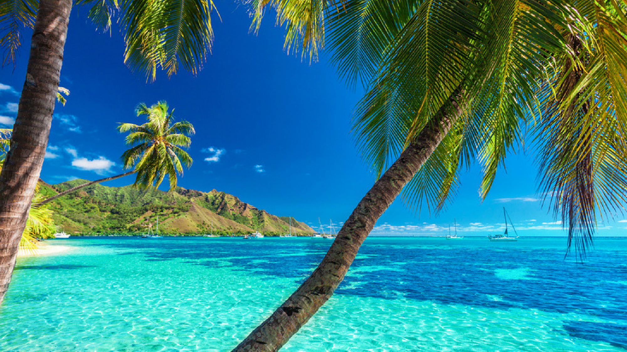 Profitez des plages à perte de vue !