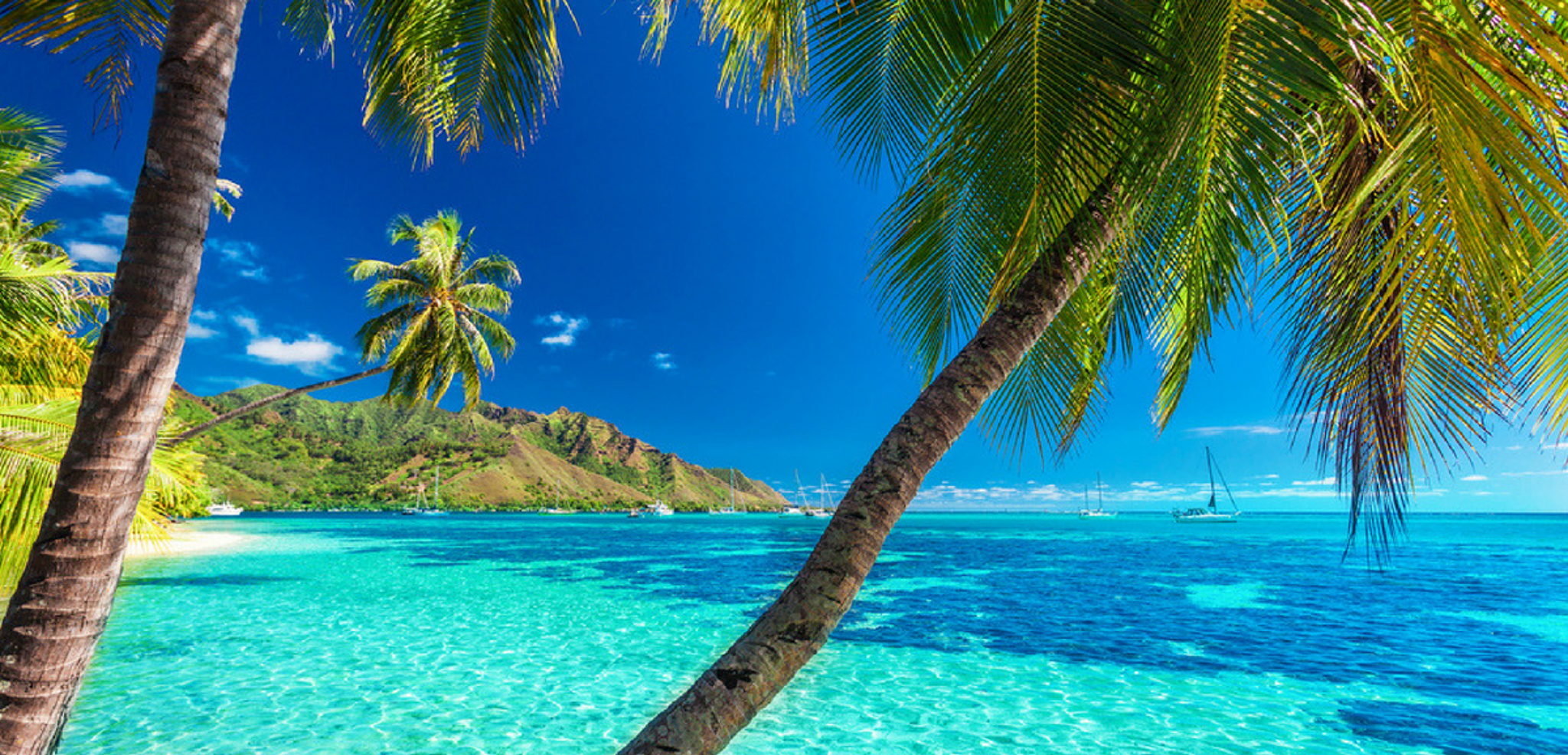 Profitez des plages à perte de vue !