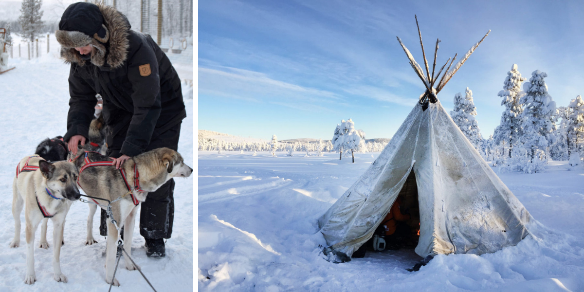 Et activités ! Balade en traineau à chiens, avec pause dans tipi traditionnel