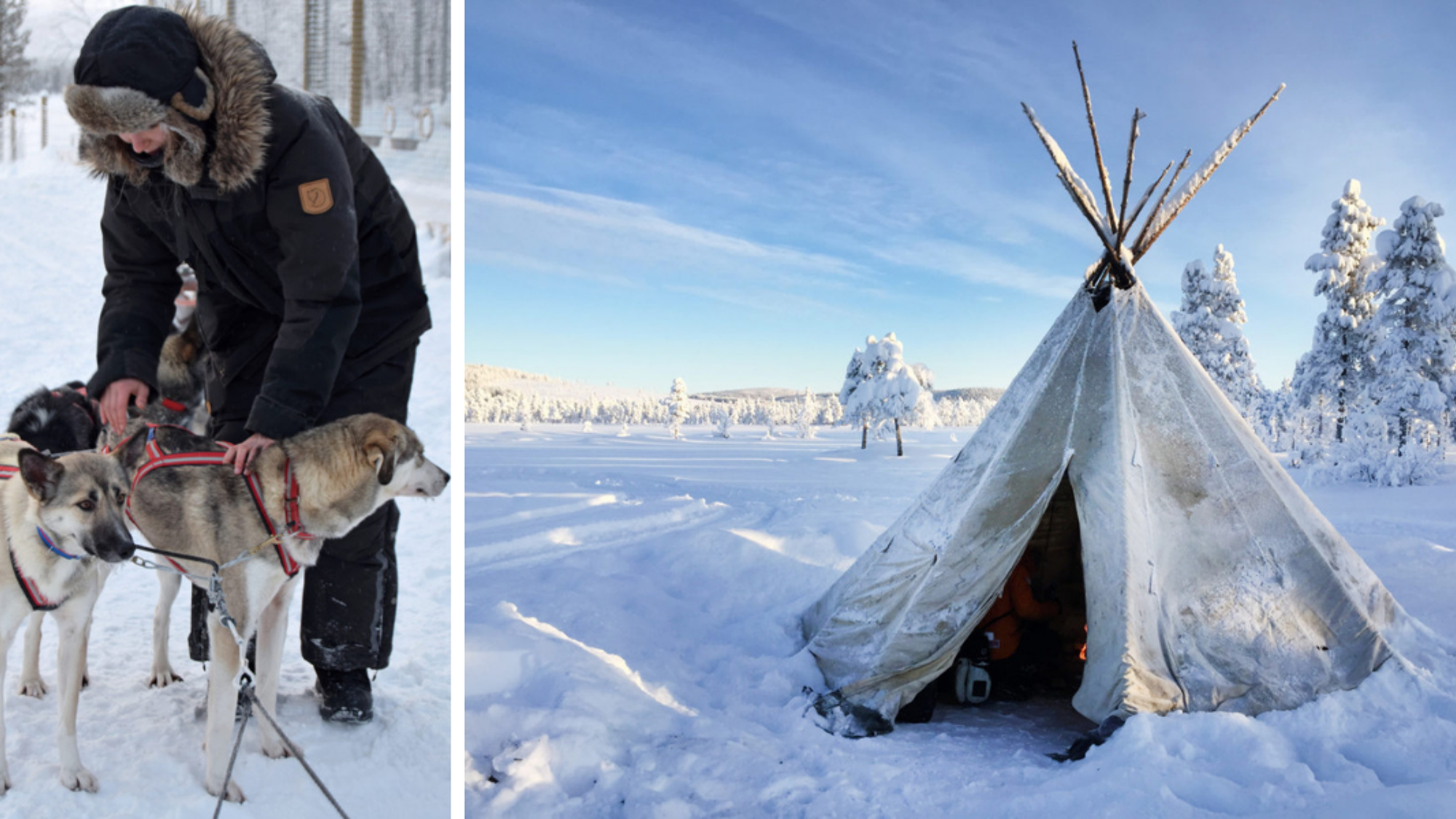 Et activités ! Balade en traineau à chiens, avec pause dans tipi traditionnel