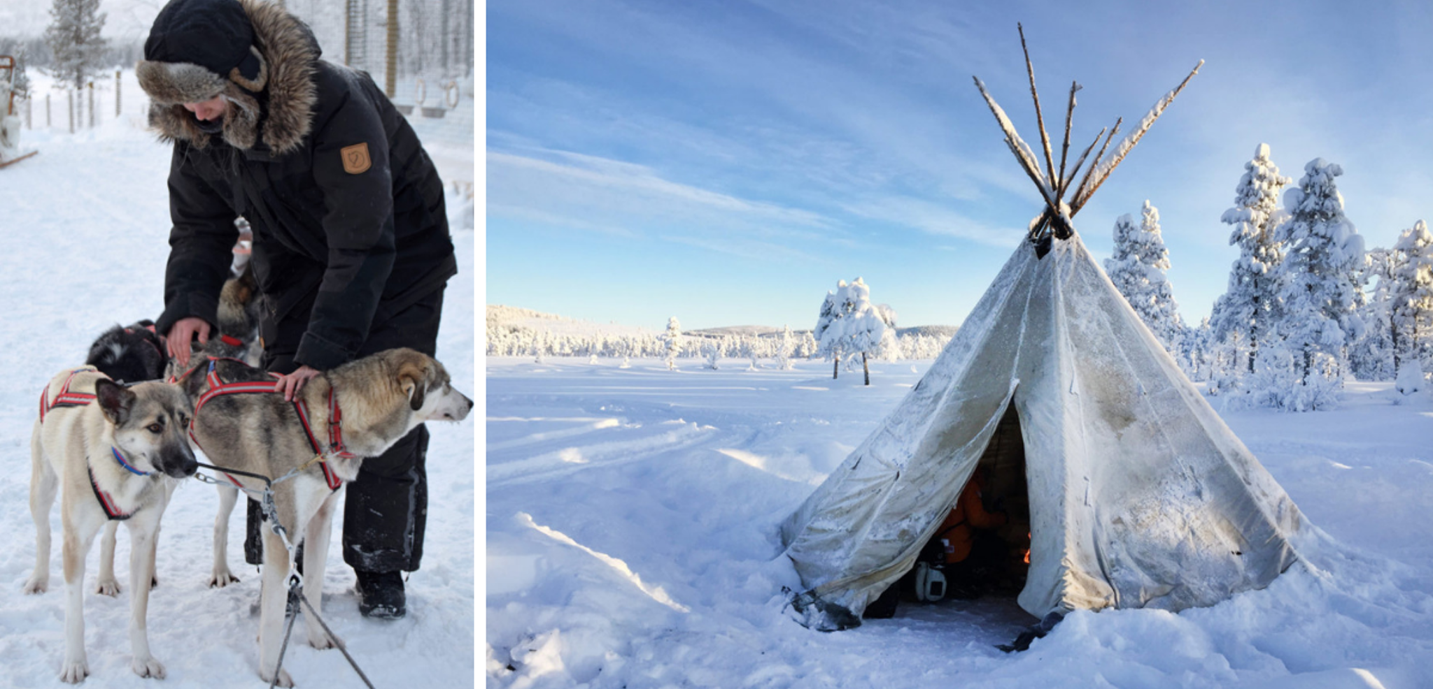 Et activités ! Balade en traineau à chiens, avec pause dans tipi traditionnel