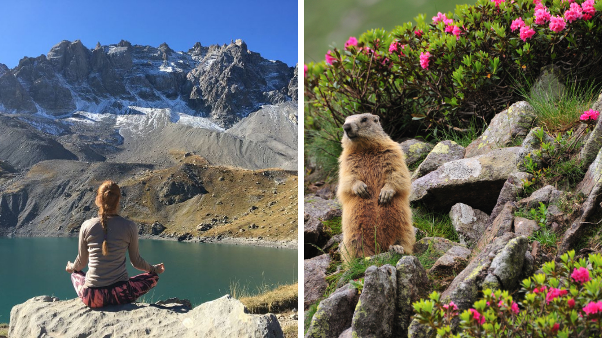 Pour quelques jours en pleine nature