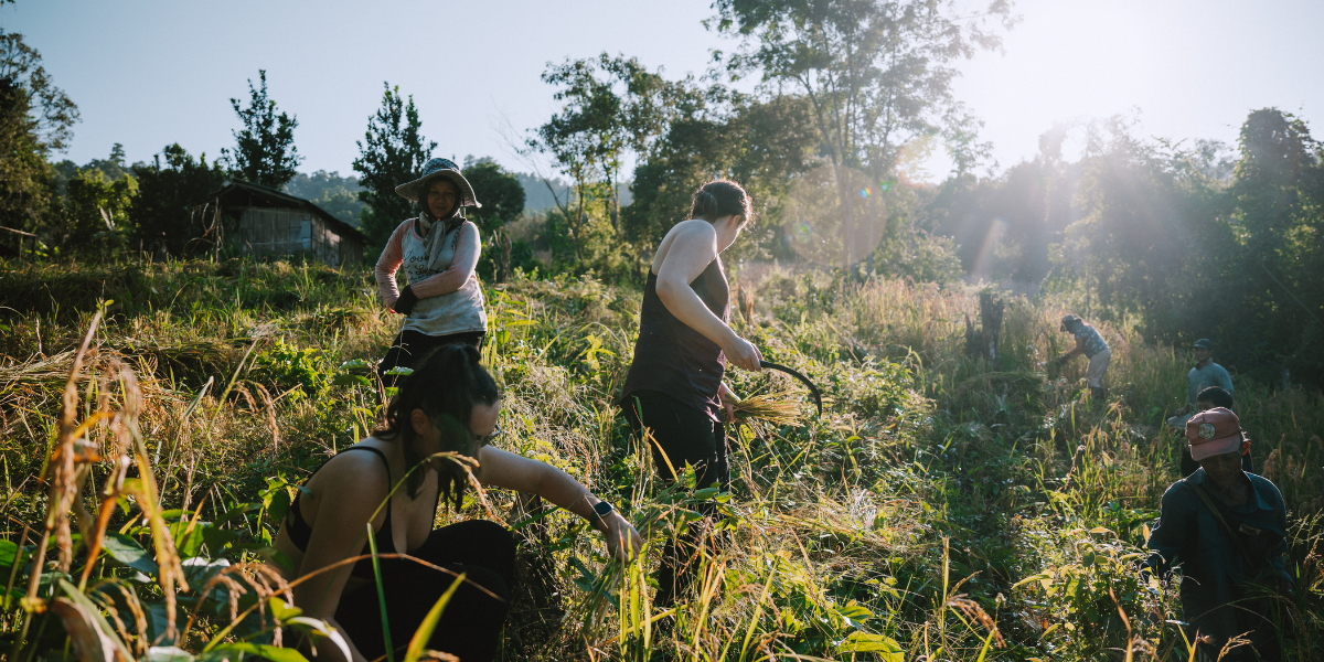 Découvrez la campagne thaïlandaise en bonne compagnie