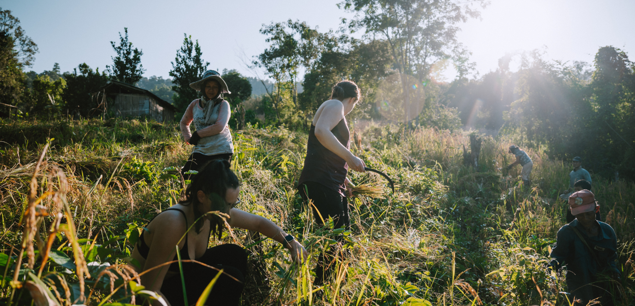 Découvrez la campagne thaïlandaise en bonne compagnie