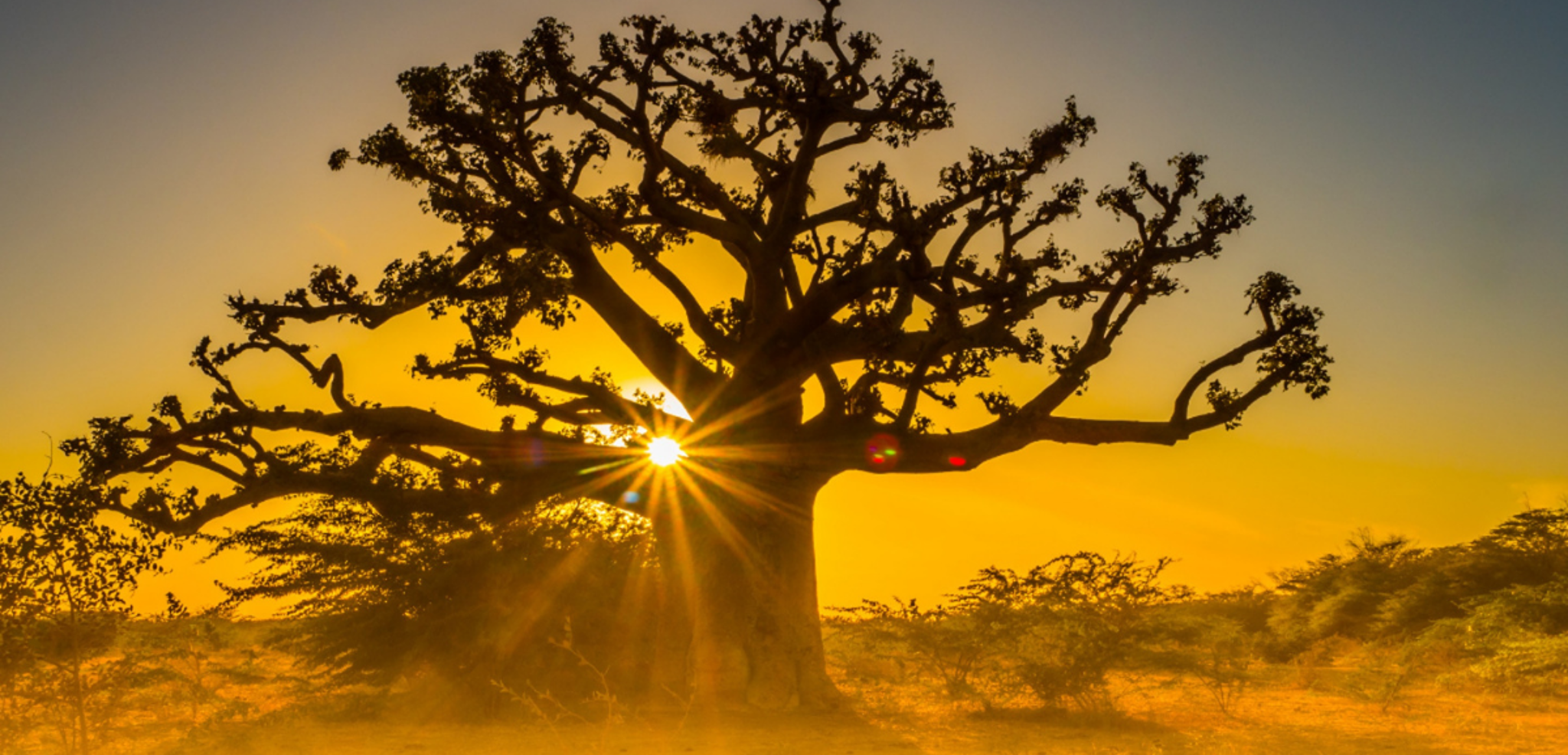 Bienvenue au Sénégal !