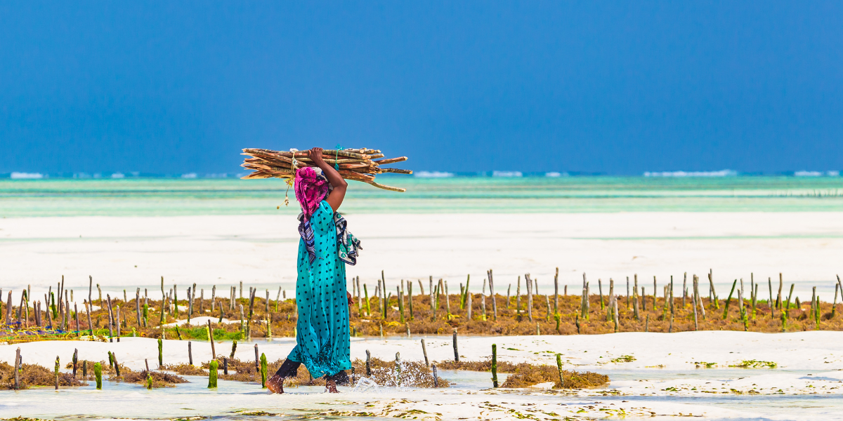 Au programme : partez à la rencontre des habitants 