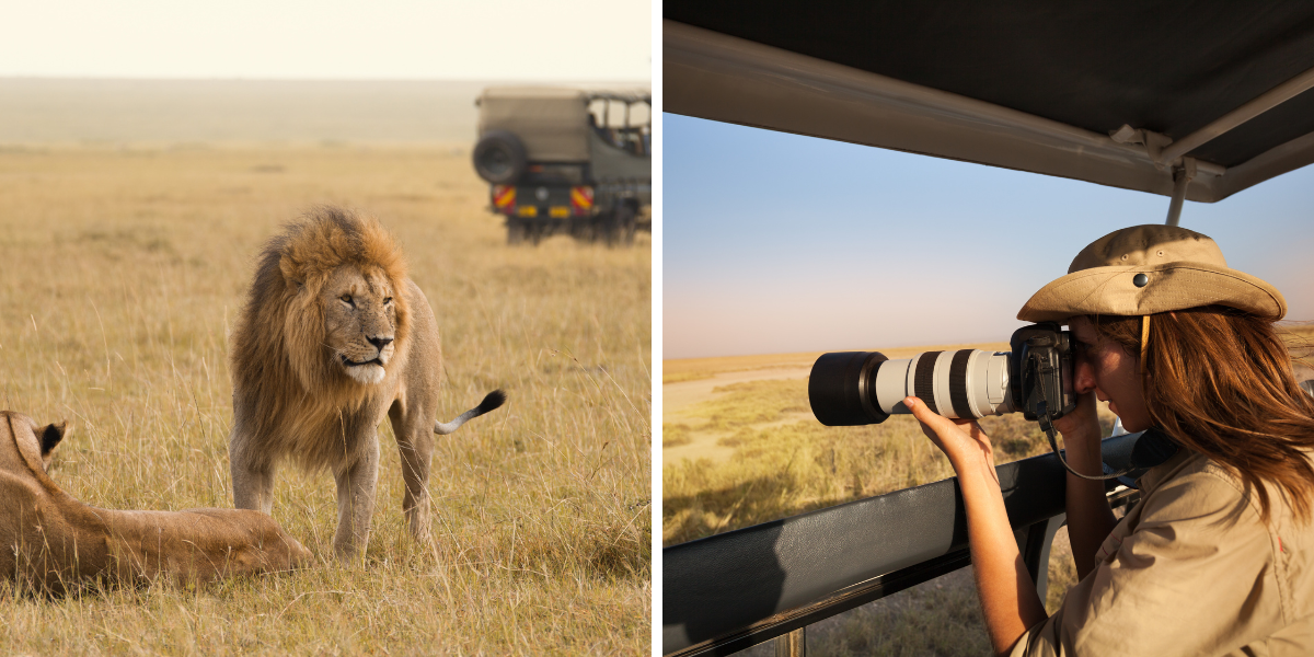 C'est parti pour l'aventure !