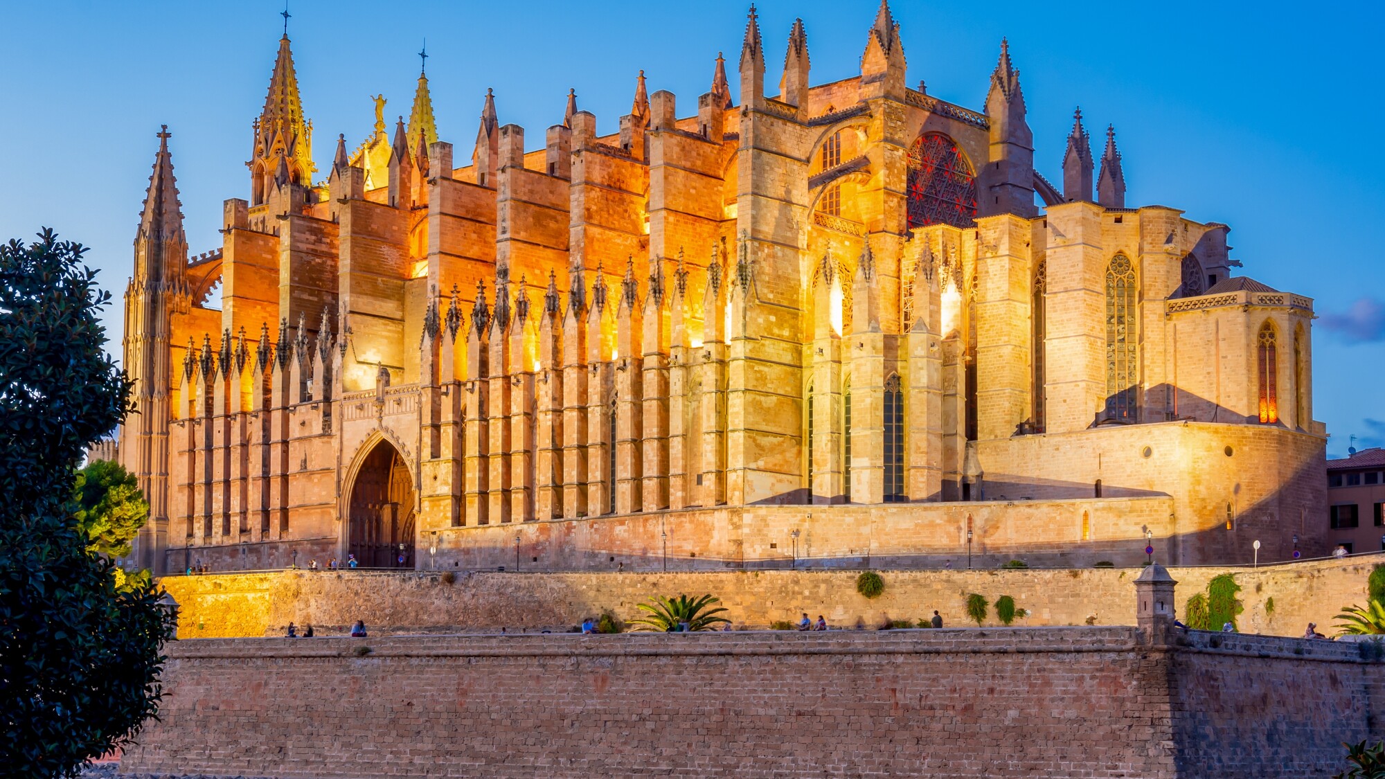 Puis découvrez Palma by night, là où la vie espagnole se révèle à vous !