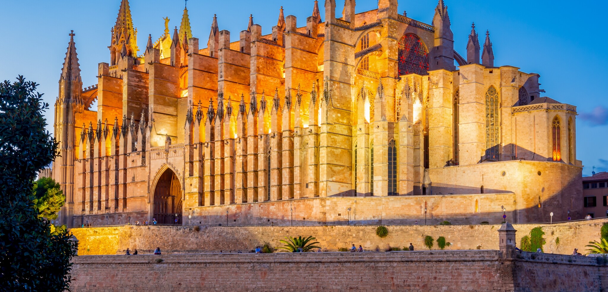 Puis découvrez Palma by night, là où la vie espagnole se révèle à vous !