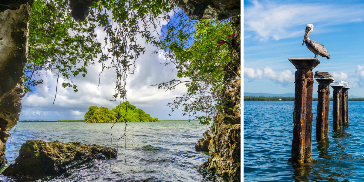 Naviguez dans l'incroyable parc Los Haitises
