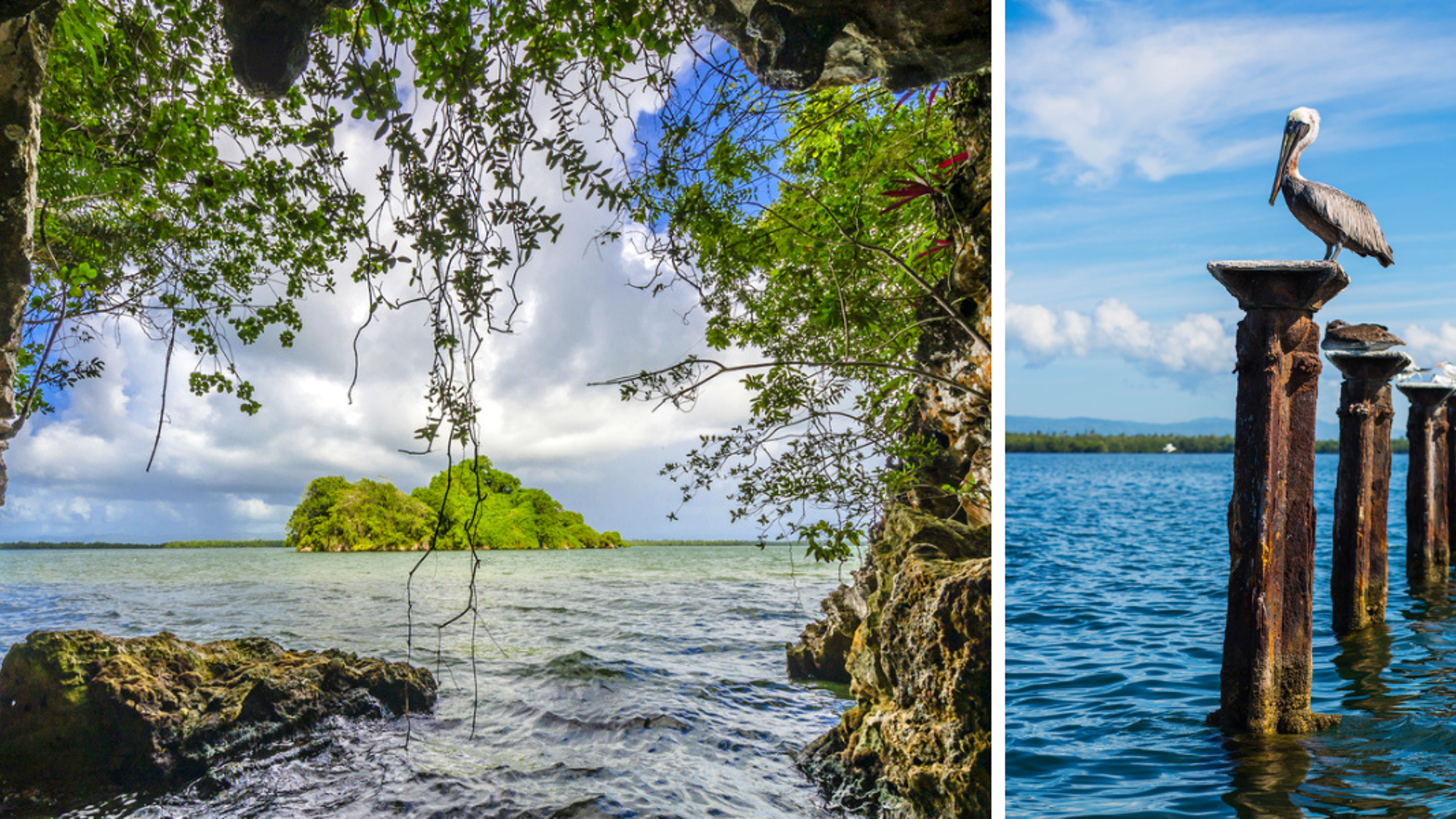 Naviguez dans l'incroyable parc Los Haitises