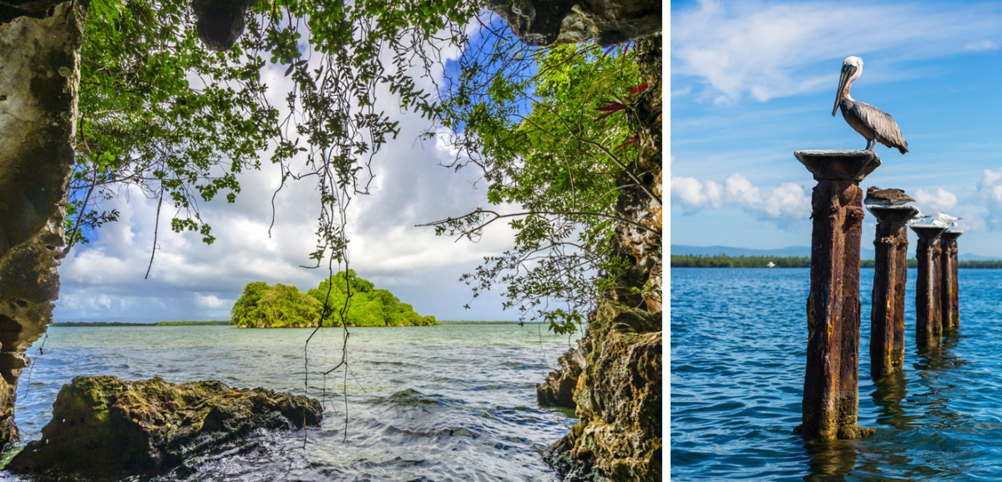 Naviguez dans l'incroyable parc Los Haitises
