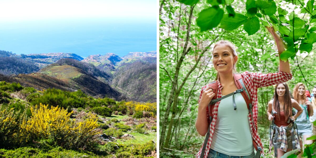 Le lendemain, partez en rando sur le Plateau de Paul avant de vous initier au massage coréen