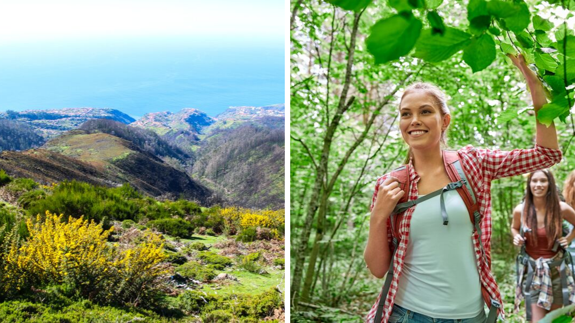 Le lendemain, partez en rando sur le Plateau de Paul avant de vous initier au massage coréen
