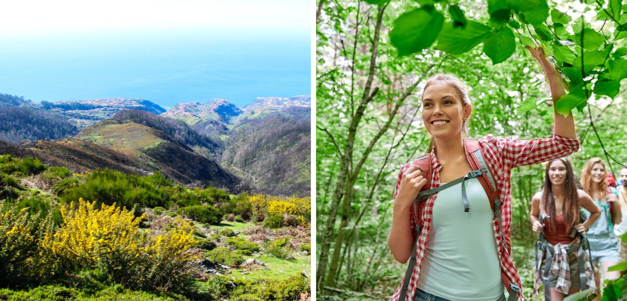 Le lendemain, partez en rando sur le Plateau de Paul avant de vous initier au massage coréen
