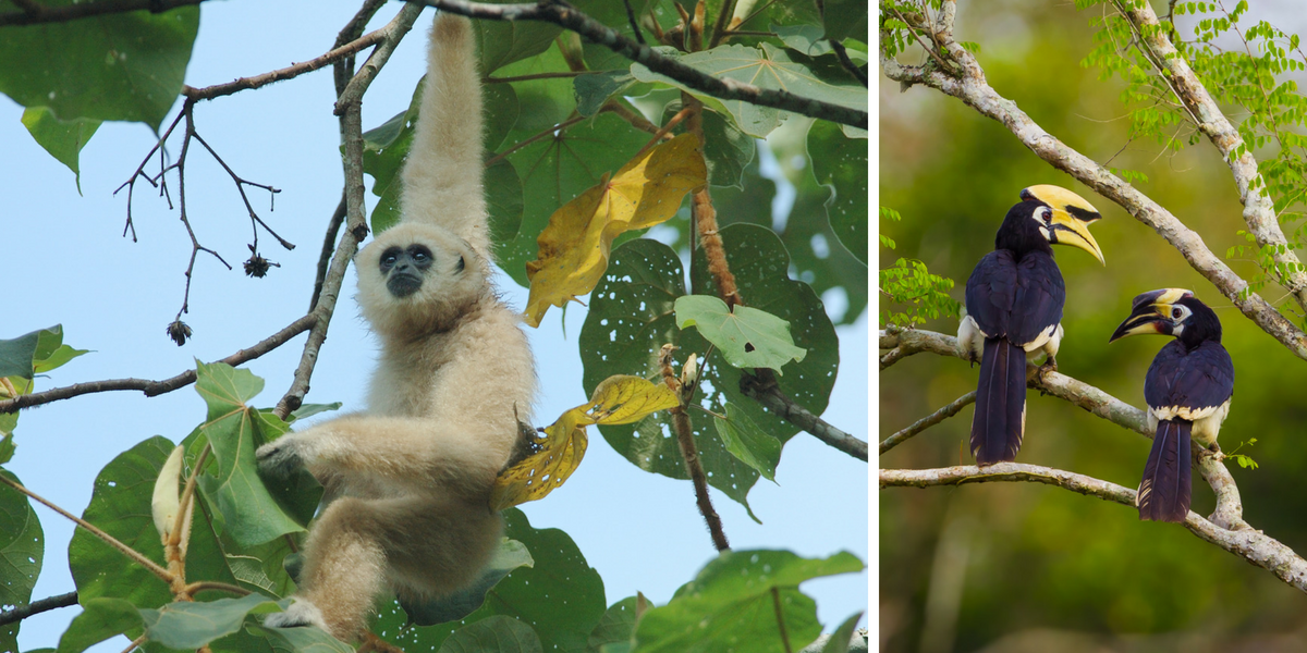 A la rencontre d'une faune sauvage incroyable... 
