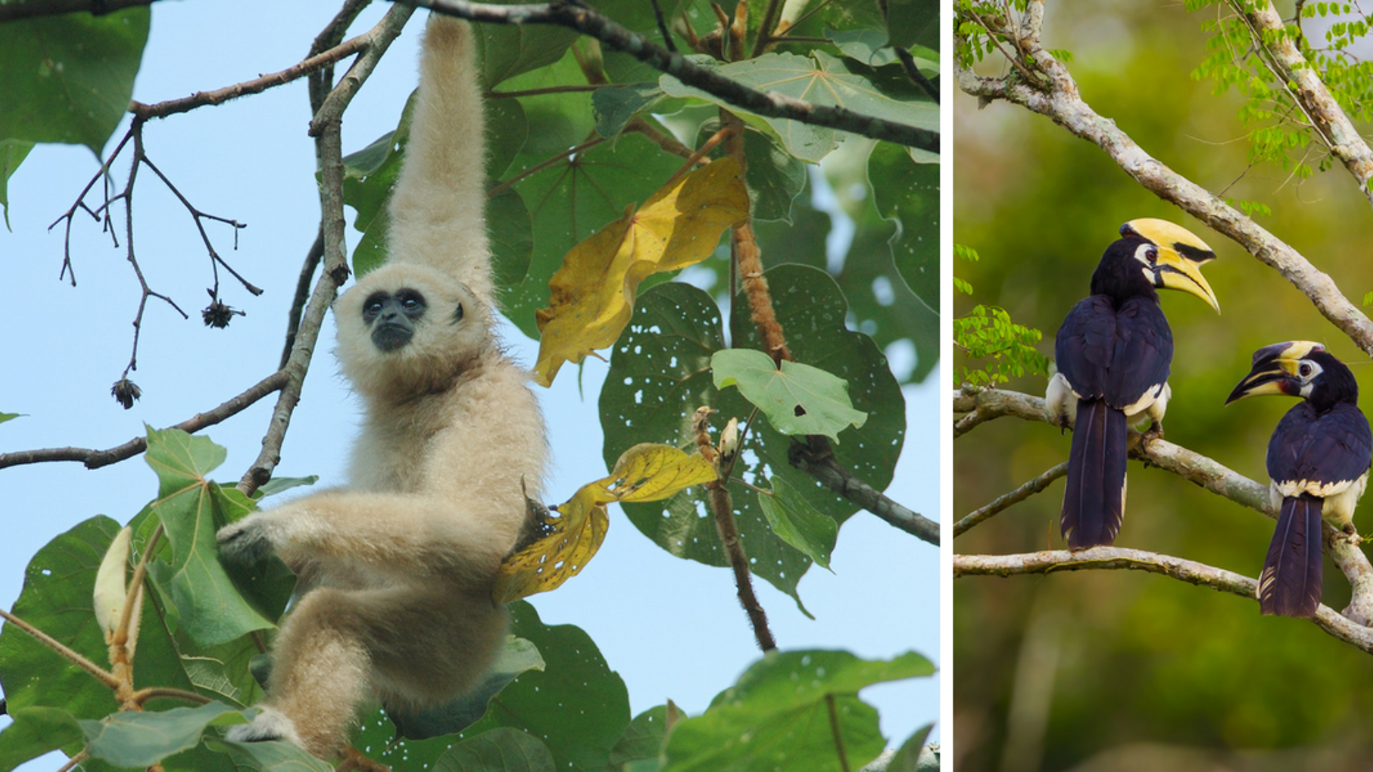 A la rencontre d'une faune sauvage incroyable...