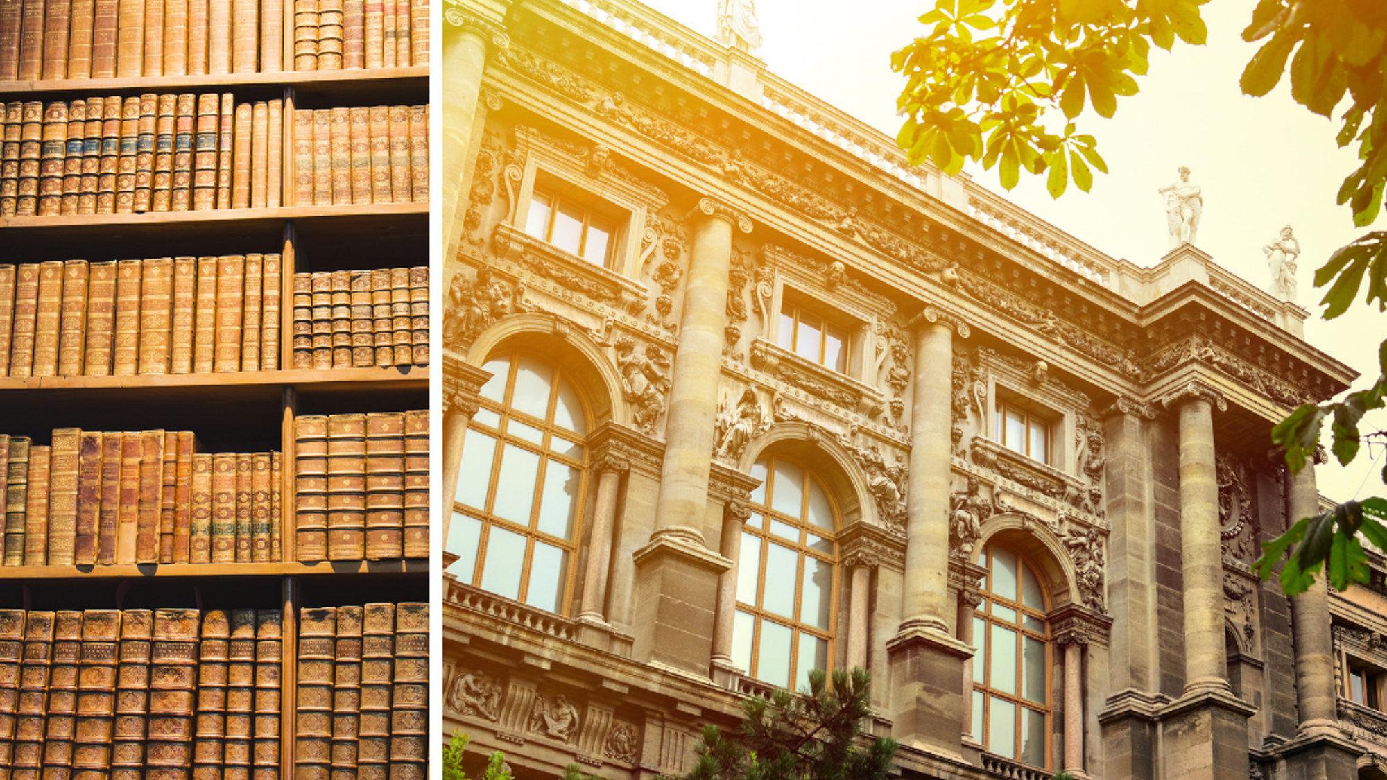 Perdez-vous dans les allées de la Bibliothèque Nationale