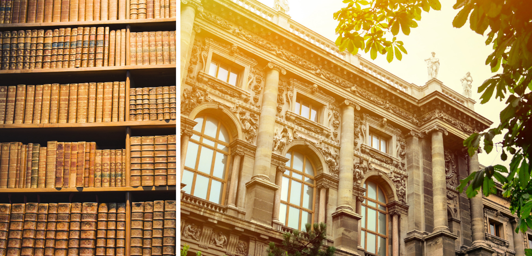 Perdez-vous dans les allées de la Bibliothèque Nationale