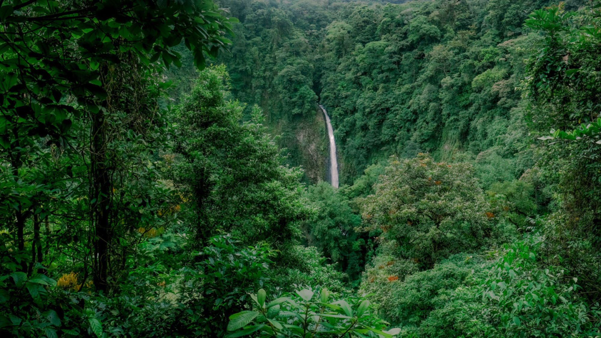 Emerveillez-vous devant les paysages...