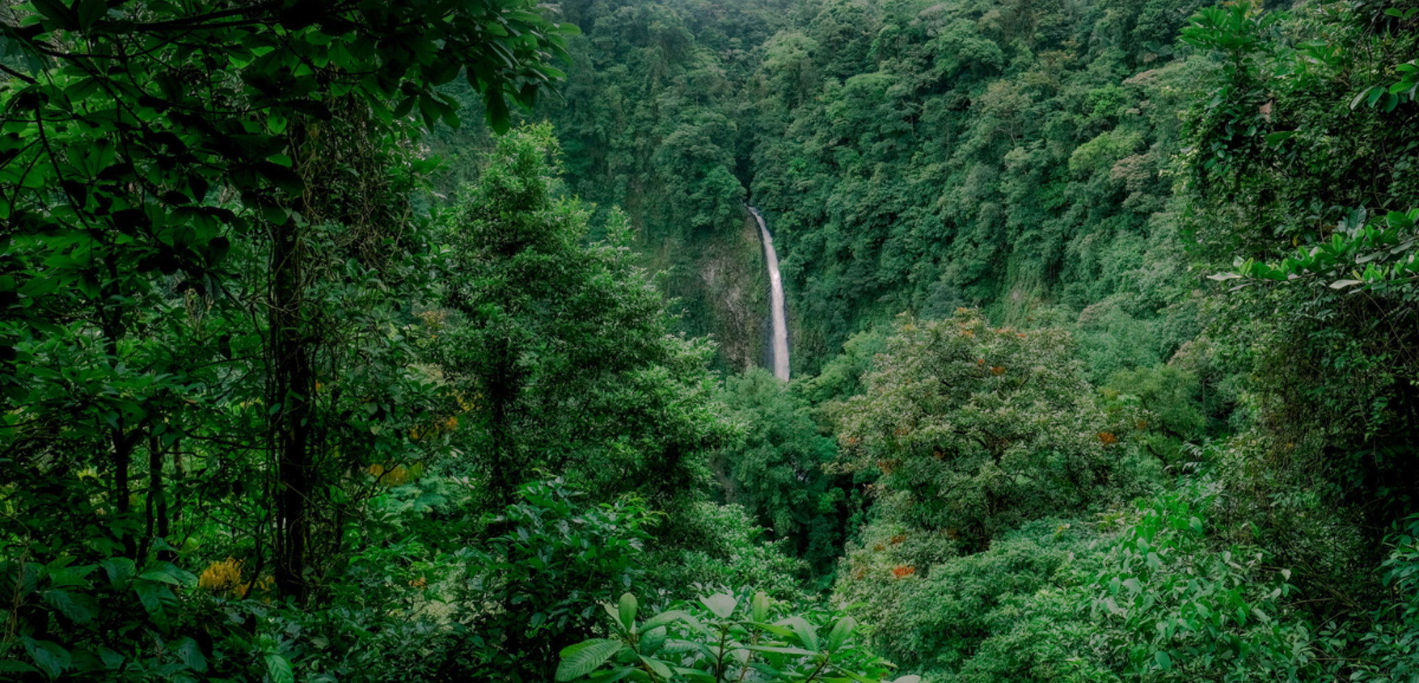 Emerveillez-vous devant les paysages...
