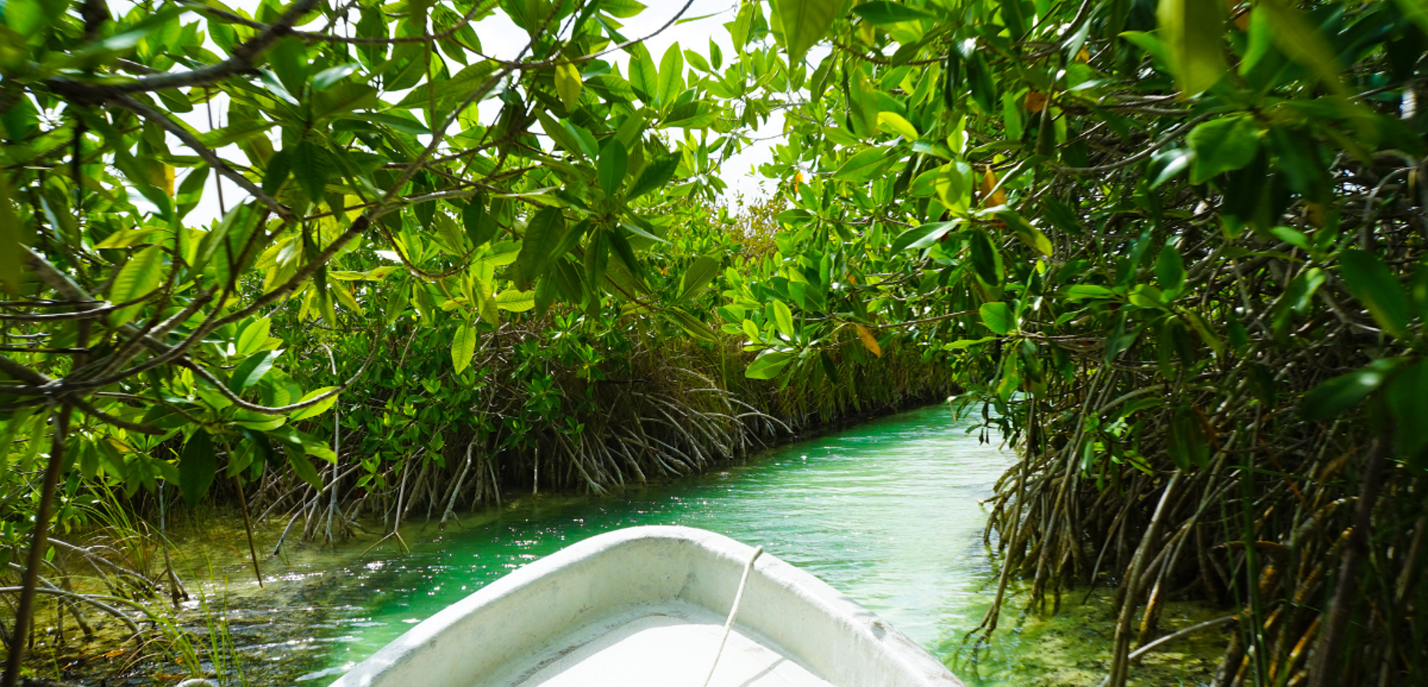 En barque sur les canaux construits par les mayas