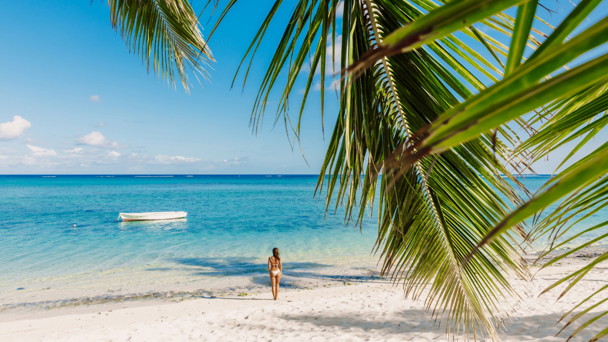 Une semaine de détente et découverte sous le soleil des tropiques !