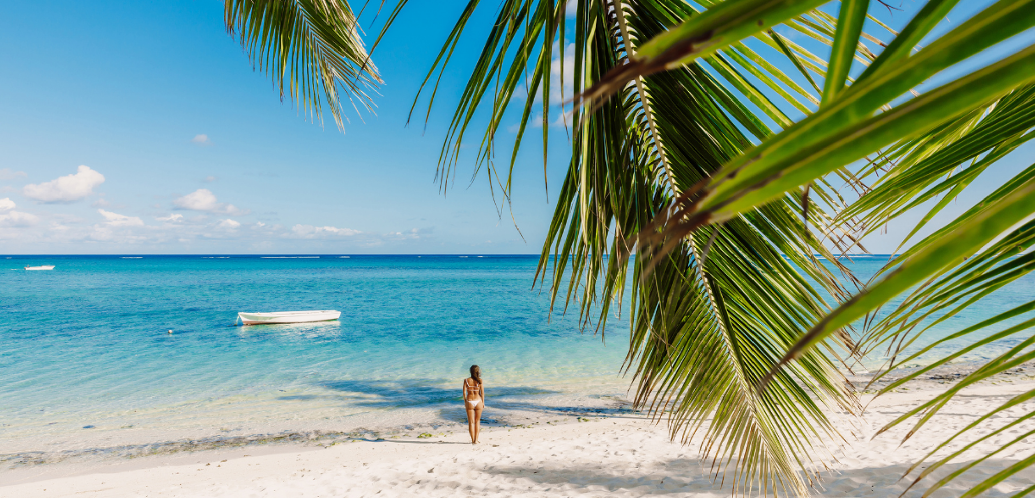 Pour une semaine de détente et découverte sous le soleil des tropiques !