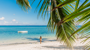 Une semaine de détente et découverte sous le soleil des tropiques !
