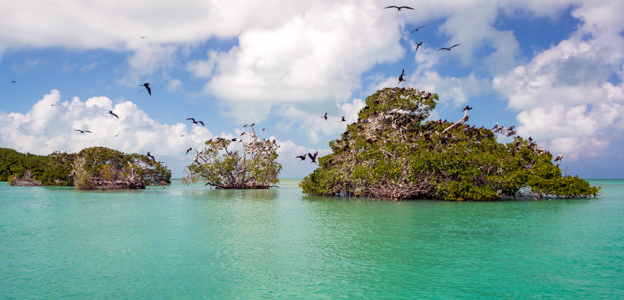 Réserve de la Biosphère de Sian Ka'an