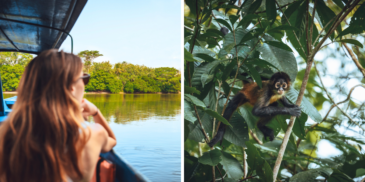 Observez la faune et la flore 