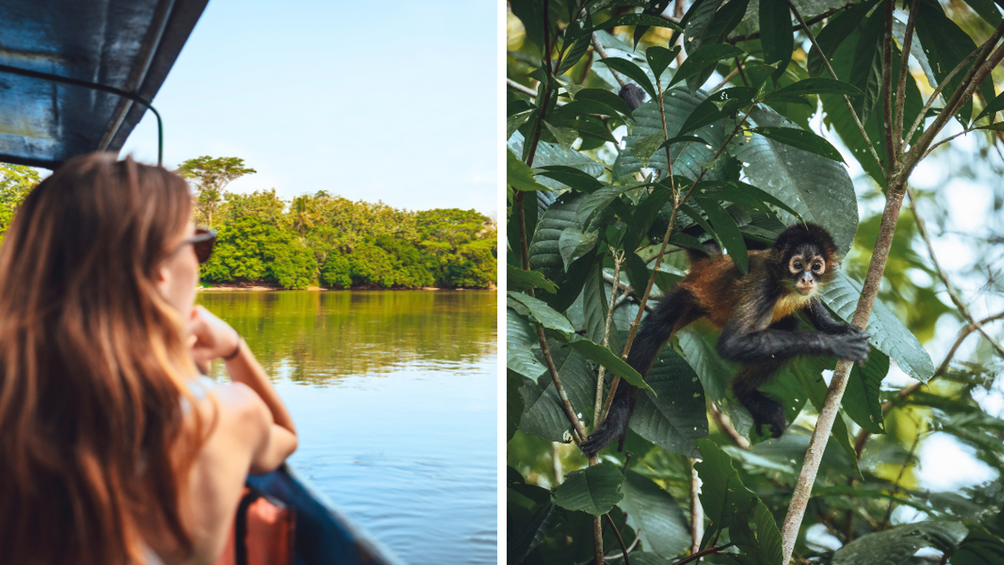 Observez la faune et la flore