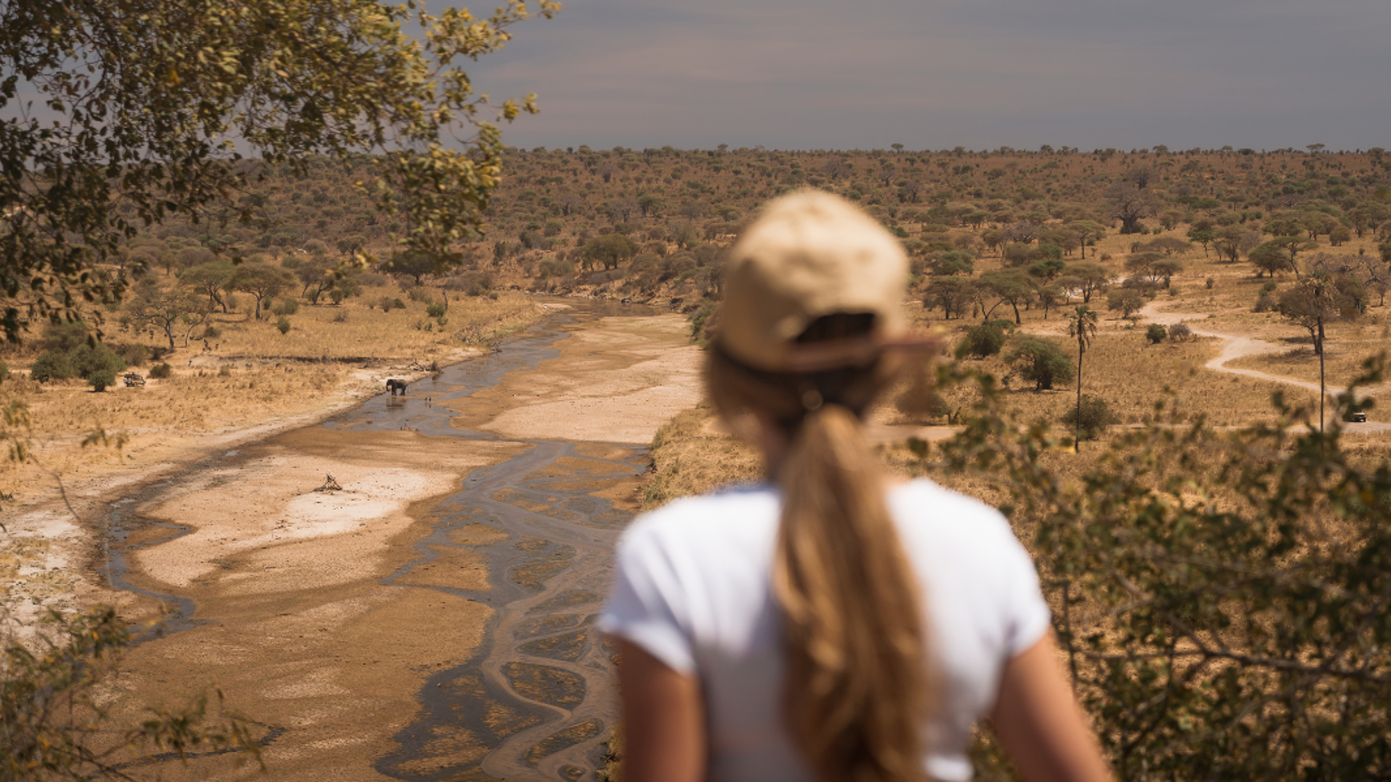 A l'affut des animaux de la savane du Parc national de Tarangire - jour 6