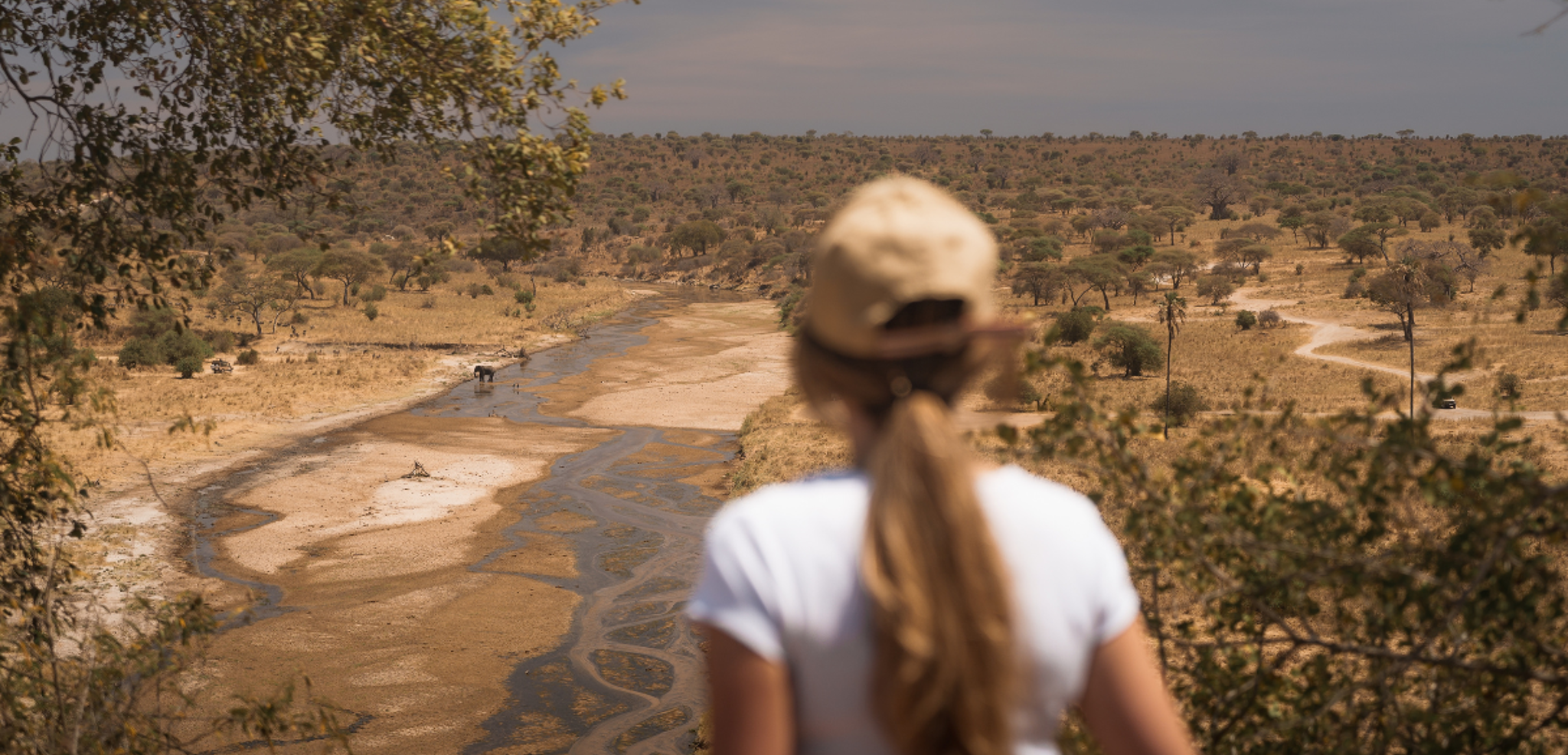 A l'affut des animaux de la savane du Parc national de Tarangire - jour 6