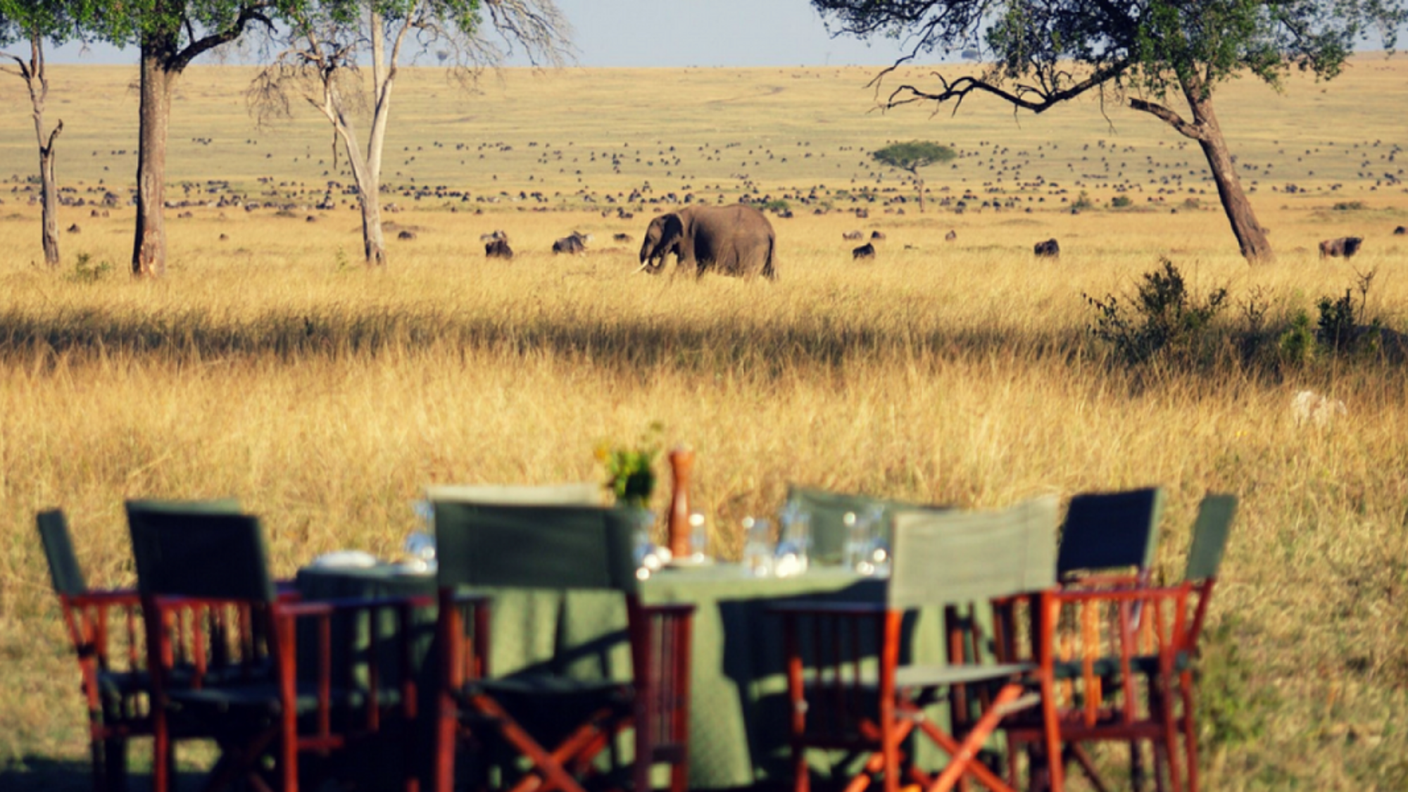 Vos déjeuners en pleine savane - jours 3, 4 et 5