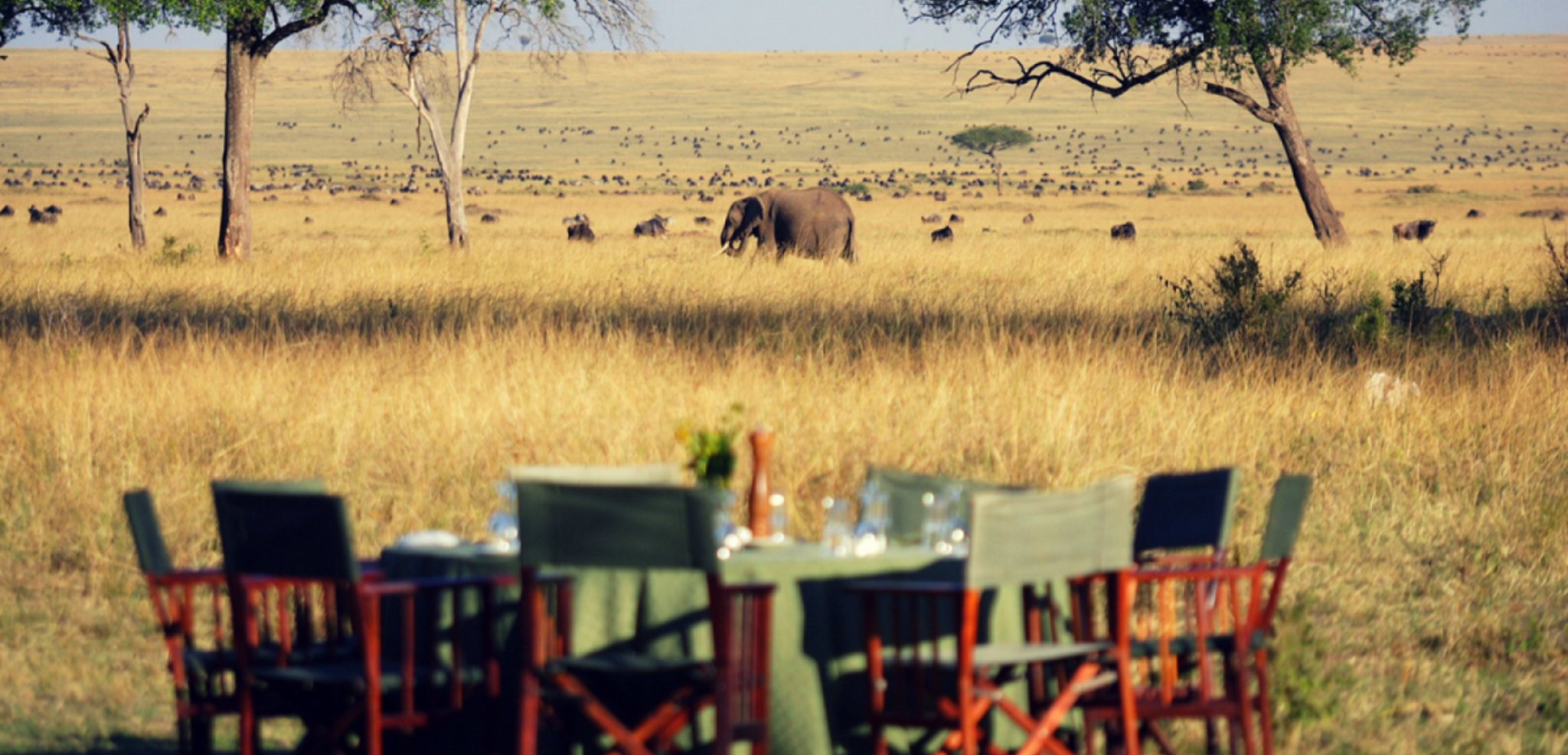 Vos déjeuners en pleine savane - jours 3, 4 et 5
